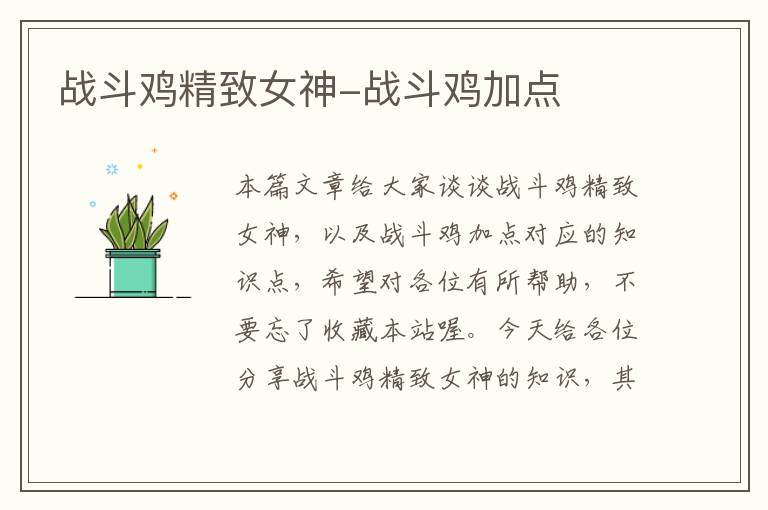 战斗鸡精致女神-战斗鸡加点